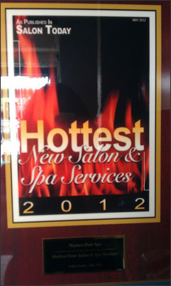 News: Salon Today Award